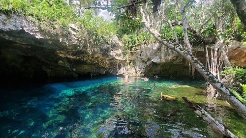 Gran Cenote